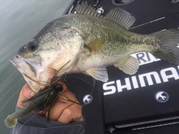 hideup 永野総一朗 ブログ写真 2017/04/21