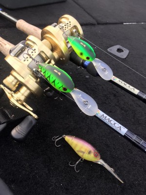 hideup 豌ｸ驥守ｷ丈ｸ譛� 繝悶Ο繧ｰ蜀咏悄 2016/02/24