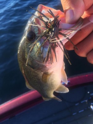 hideup 永野総一朗 ブログ写真 2015/08/23