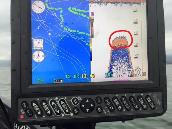 hideup 豌ｸ驥守ｷ丈ｸ譛� 繝悶Ο繧ｰ蜀咏悄 2016/04/14