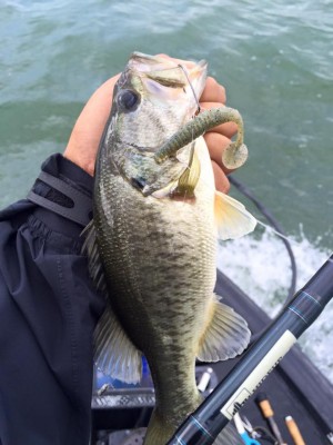 hideup 永野総一朗 ブログ写真 2016/06/09