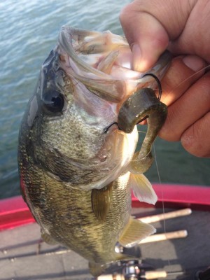 hideup 永野総一朗 ブログ写真 2015/05/17