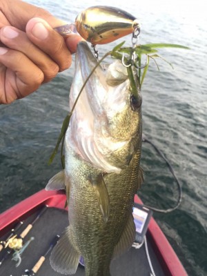 hideup 永野総一朗 ブログ写真 2015/10/15