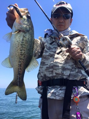 hideup 永野総一朗 ブログ写真 2016/05/18