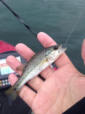 hideup 永野総一朗 ブログ写真 2014/10/23