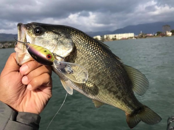 hideup 永野総一朗 ブログ写真 2017/11/11