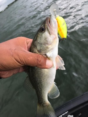 hideup 永野総一朗 ブログ写真 2017/09/12