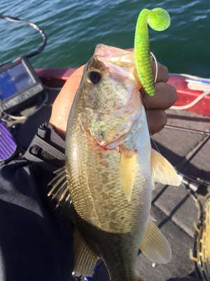 hideup 永野総一朗 ブログ写真 2015/11/11