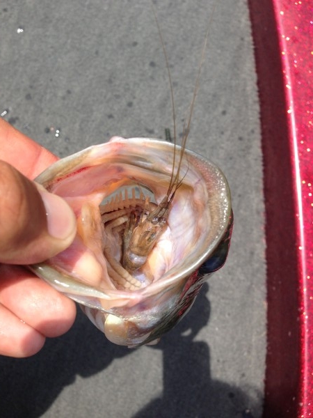 hideup 永野総一朗 ブログ写真 2013/07/26