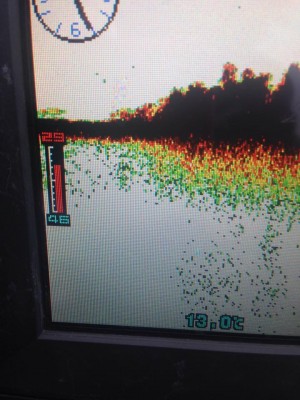 hideup 永野総一朗 ブログ写真 2015/04/20