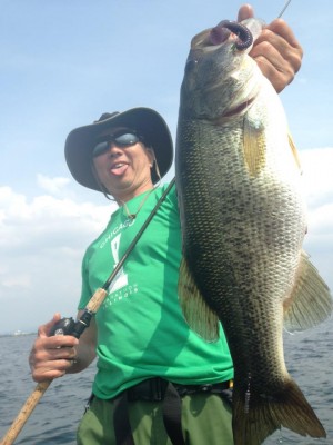 hideup 豌ｸ驥守ｷ丈ｸ譛� 繝悶Ο繧ｰ蜀咏悄 2015/06/17