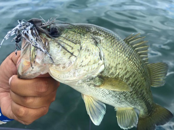 hideup 永野総一朗 ブログ写真 2016/07/06