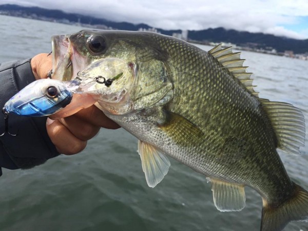 hideup 永野総一朗 ブログ写真 2016/10/17