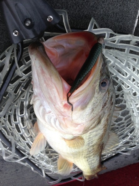 hideup 永野総一朗 ブログ写真 2013/02/05