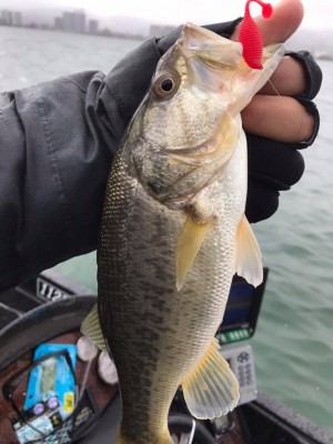 hideup 永野総一朗 ブログ写真 2017/01/23