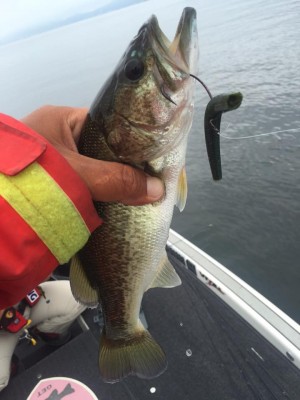 hideup 永野総一朗 ブログ写真 2015/09/01