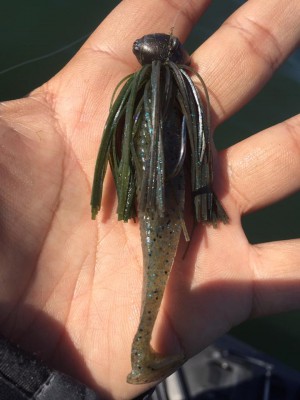 hideup 永野総一朗 ブログ写真 2017/04/23