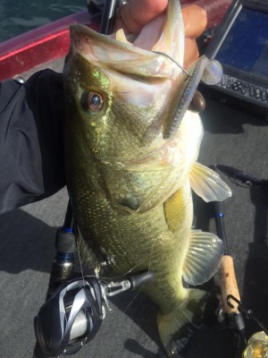 hideup 永野総一朗 ブログ写真 2015/09/27