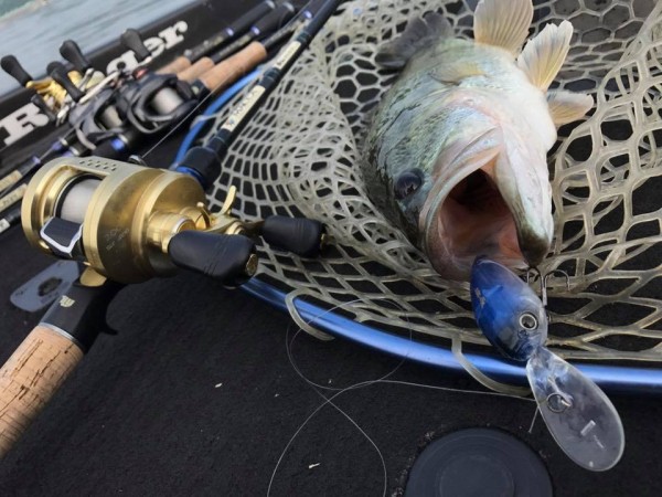 hideup 永野総一朗 ブログ写真 2017/05/30