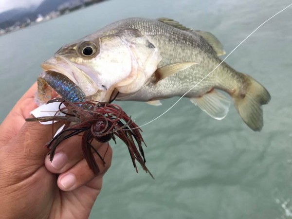 hideup 永野総一朗 ブログ写真 2017/10/29