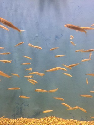 hideup 永野総一朗 ブログ写真 2015/07/24