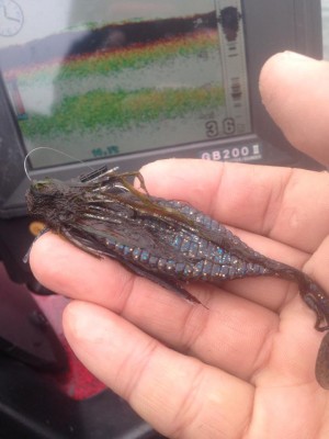 hideup 永野総一朗 ブログ写真 2015/04/20