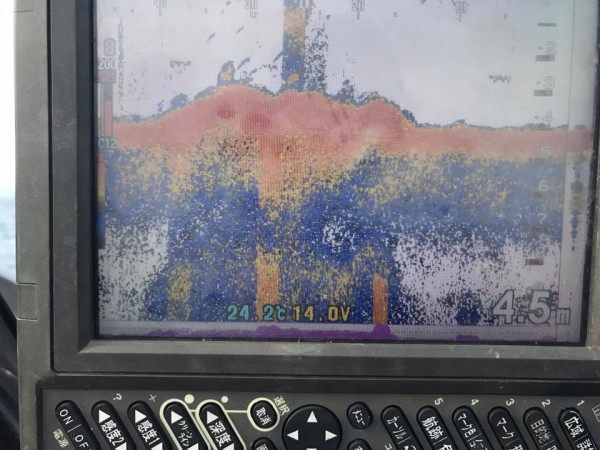 hideup 豌ｸ驥守ｷ丈ｸ譛� 繝悶Ο繧ｰ蜀咏悄 2017/10/06