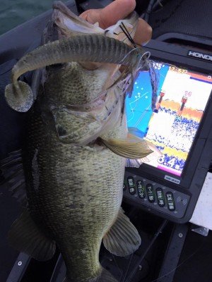 hideup 永野総一朗 ブログ写真 2016/03/27