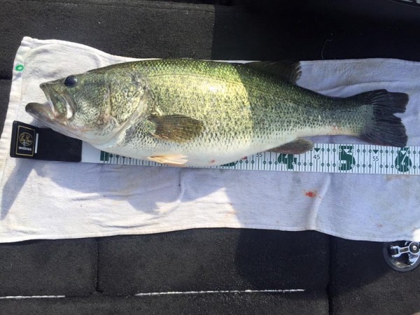 hideup 永野総一朗 ブログ写真 2016/05/19