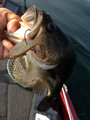 hideup 永野総一朗 ブログ写真 2015/06/17