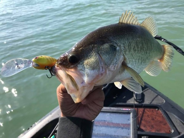 hideup 永野総一朗 ブログ写真 2017/11/03