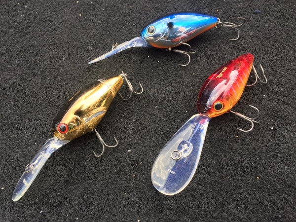 hideup 永野総一朗 ブログ写真 2017/03/22