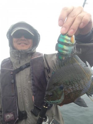 hideup 永野総一朗 ブログ写真 2015/06/05