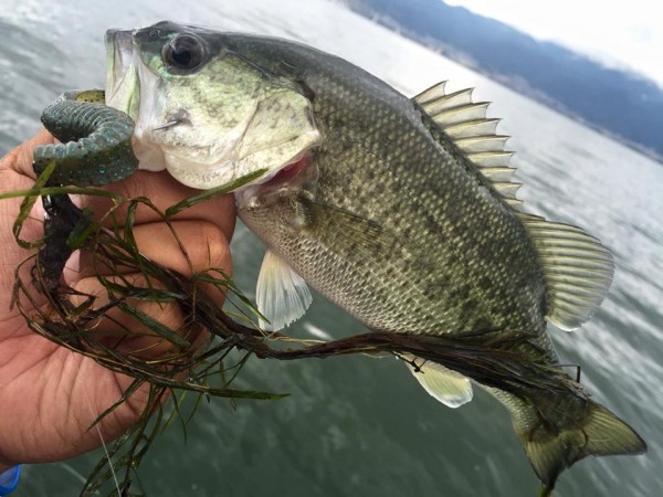 hideup 永野総一朗 ブログ写真 2016/08/28