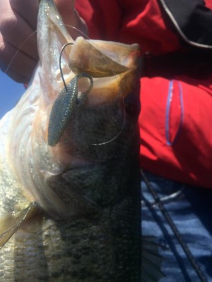 hideup 永野総一朗 ブログ写真 2017/04/23