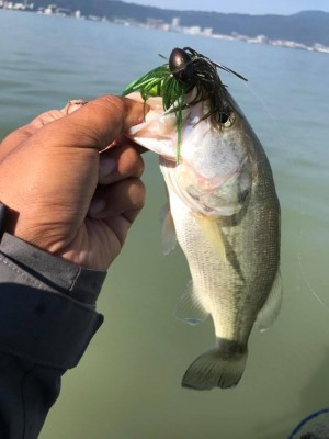 hideup 永野総一朗 ブログ写真 2017/10/26