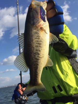 hideup 永野総一朗 ブログ写真 2017/01/10