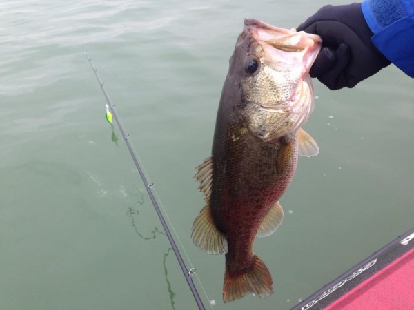 hideup 永野総一朗 ブログ写真 2015/03/03