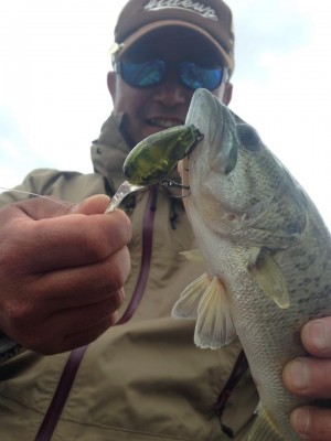 hideup 永野総一朗 ブログ写真 2015/06/09