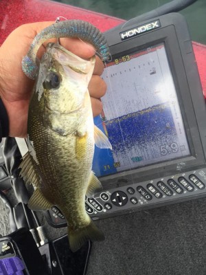 hideup 永野総一朗 ブログ写真 2015/09/27