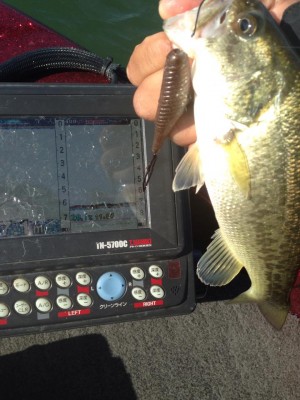 hideup 永野総一朗 ブログ写真 2014/10/15