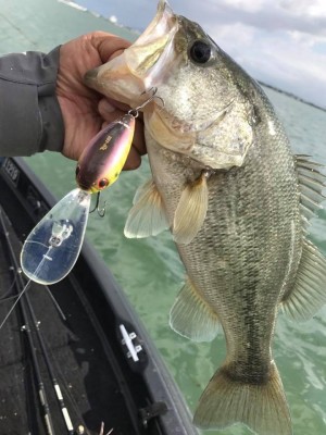 hideup 永野総一朗 ブログ写真 2017/11/11