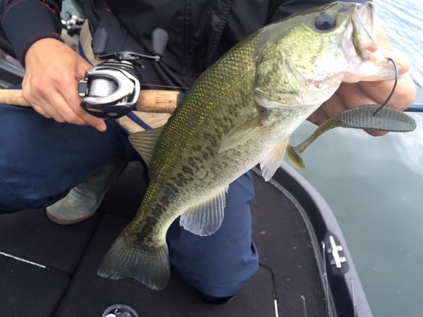 hideup 永野総一朗 ブログ写真 2016/09/13