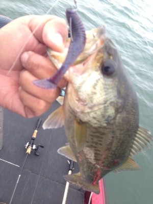 hideup 永野総一朗 ブログ写真 2015/04/05