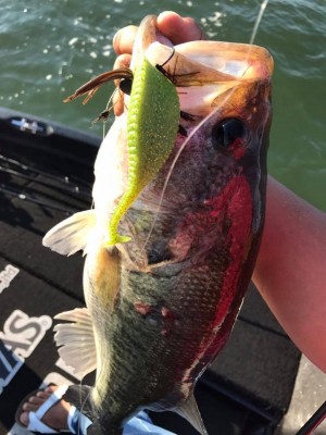 hideup 永野総一朗 ブログ写真 2017/06/14