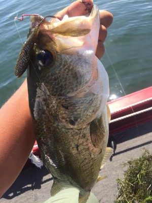 hideup 永野総一朗 ブログ写真 2015/08/27