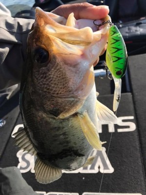 hideup 永野総一朗 ブログ写真 2017/11/17