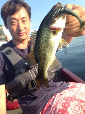 hideup 豌ｸ驥守ｷ丈ｸ譛� 繝悶Ο繧ｰ蜀咏悄 2015/05/29