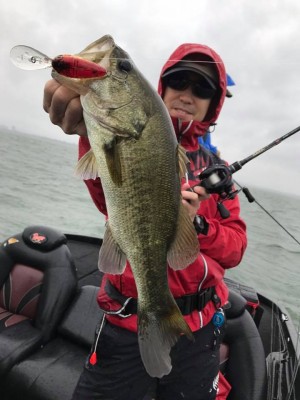 hideup 永野総一朗 ブログ写真 2017/09/17