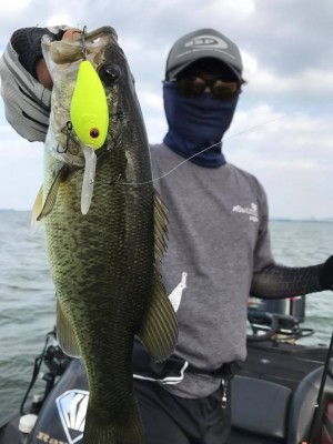 hideup 永野総一朗 ブログ写真 2017/10/11